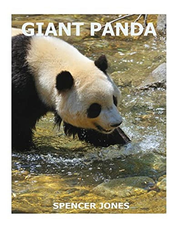 Giant Panda-..