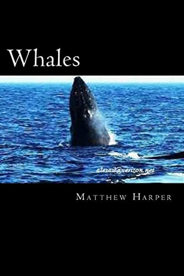Whales: A Fascinating Book Containing Whale Facts, Trivia, Images & Memory Recall Quiz: Suitable For Adults & Children-..