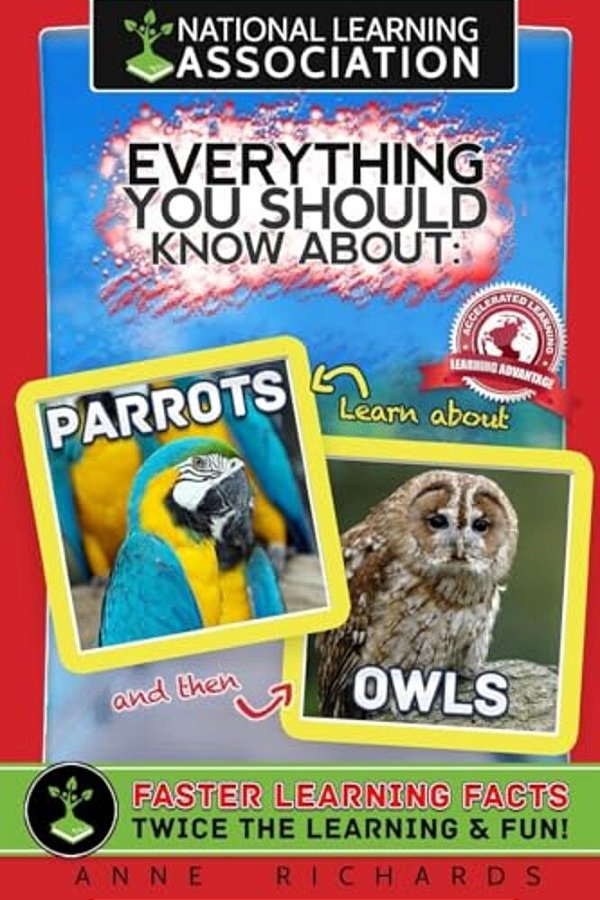 Everything You Should Know About: Parrots And Owls-..