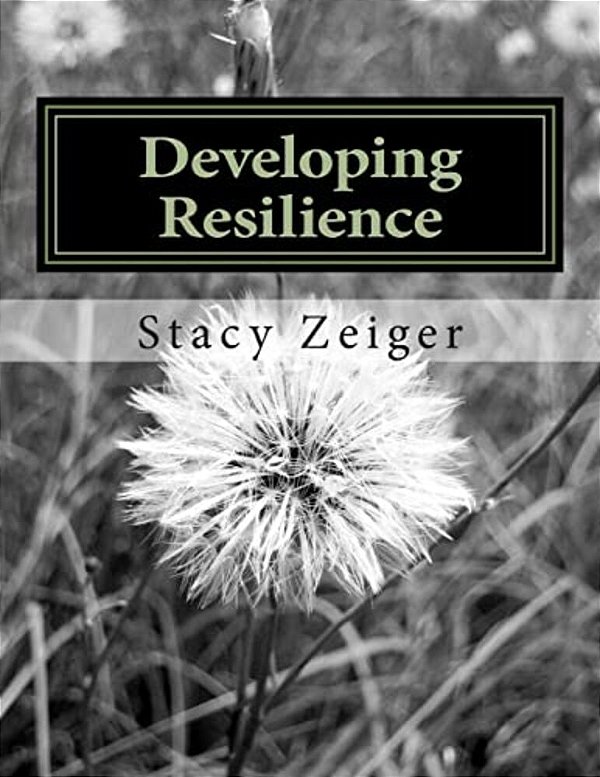 Developing Resilience: A Workbook For Teens-..