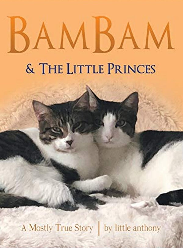 Bambam & The Little Princes: A Mostly True Story-..