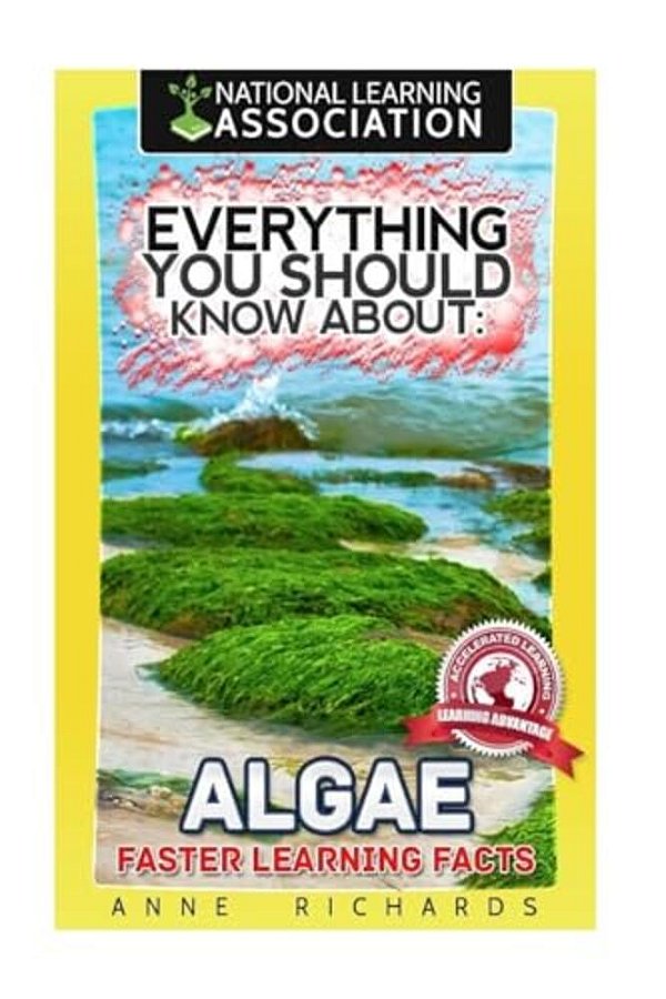 Everything You Should Know About Algae-..