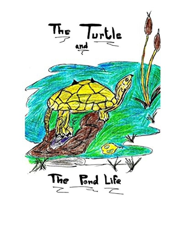 The Turtle And The Pond Life-..