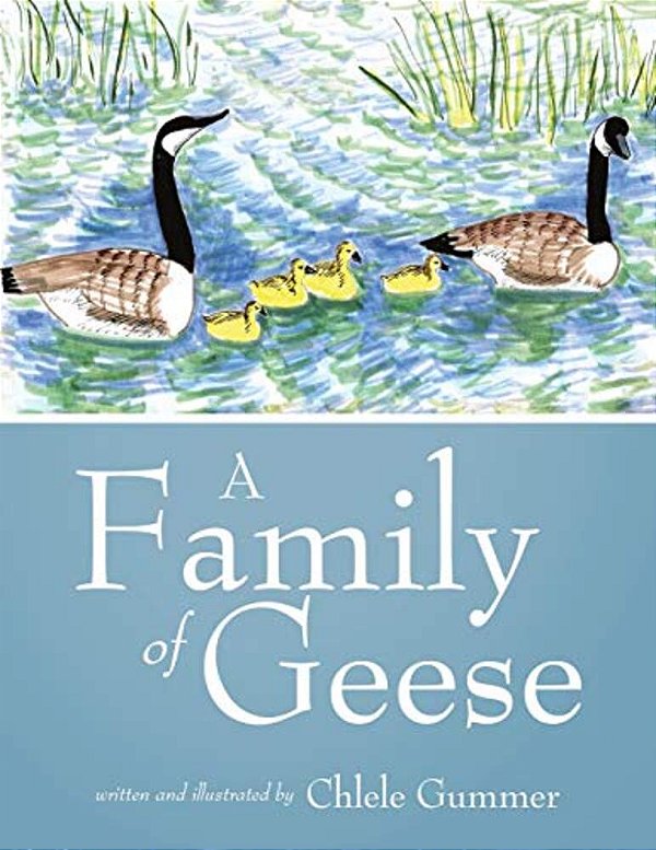 A Family Of Geese-..