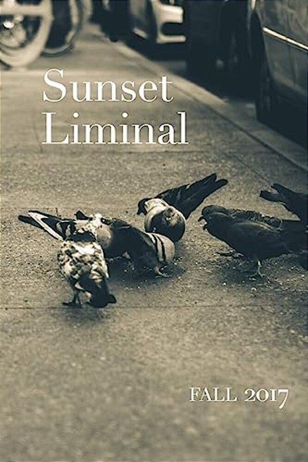 Sunset Liminal Vol. 5: Fall 2017-..