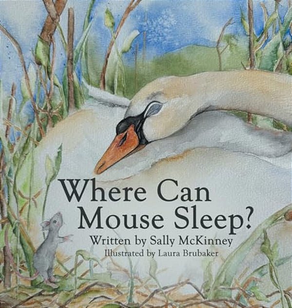 Where Can Mouse Sleep?-..