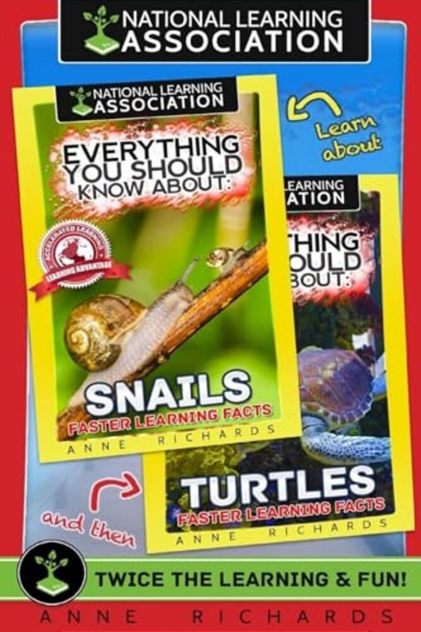 Everything You Should Know About: Snails And Turtles-..