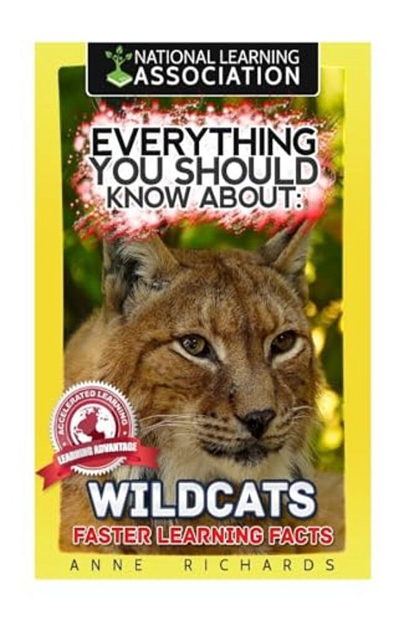 Everything You Should Know About: Wildcats-..