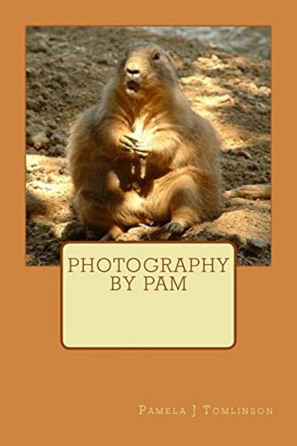 Photography By Pam-..