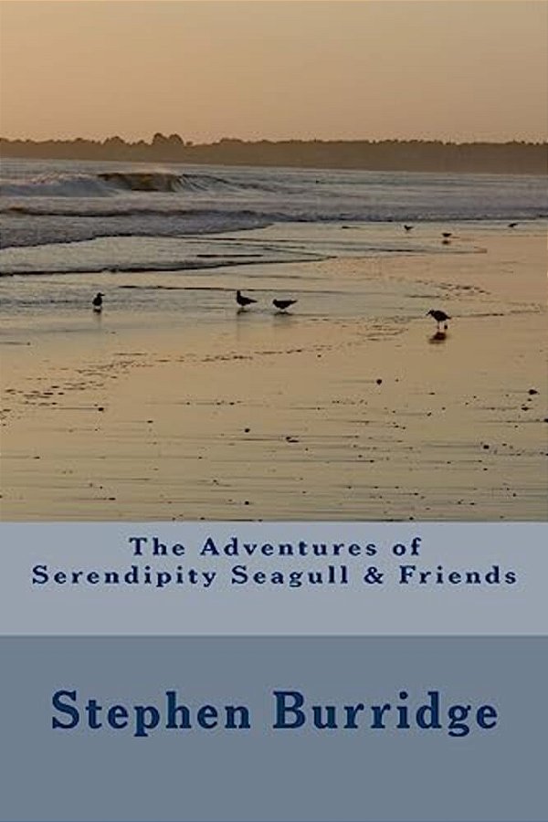 The Adventures Of Serendipity Seagull & Friends-..