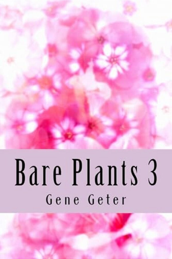Bare Plants 3-..
