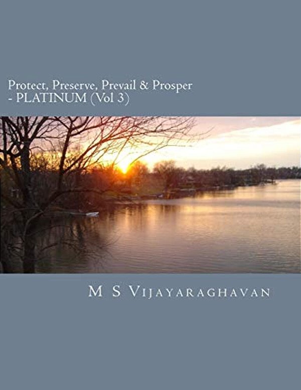 Protect, Preserve, Prevail And Prosper - Platinum (Vol 3): Business Protection Compendium From Disasters-..