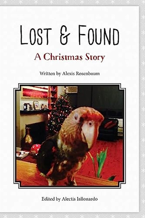 Lost & Found: A Christmas Story-..