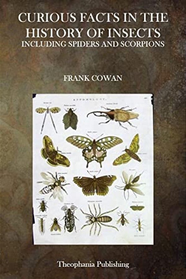 Curious Facts In The History Of Insects-..