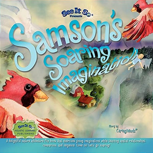 Samson's Soaring Imagination: A Weightless Journey Of Imagination, Gratitude, And Spatial Perspective Through Rhyme. Come On! Let's Soar!-..
