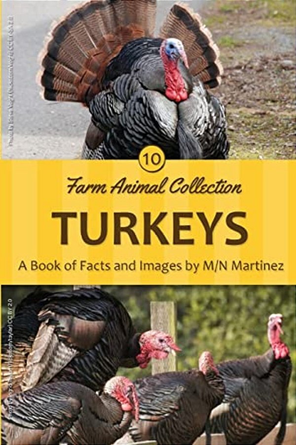 Turkeys-..