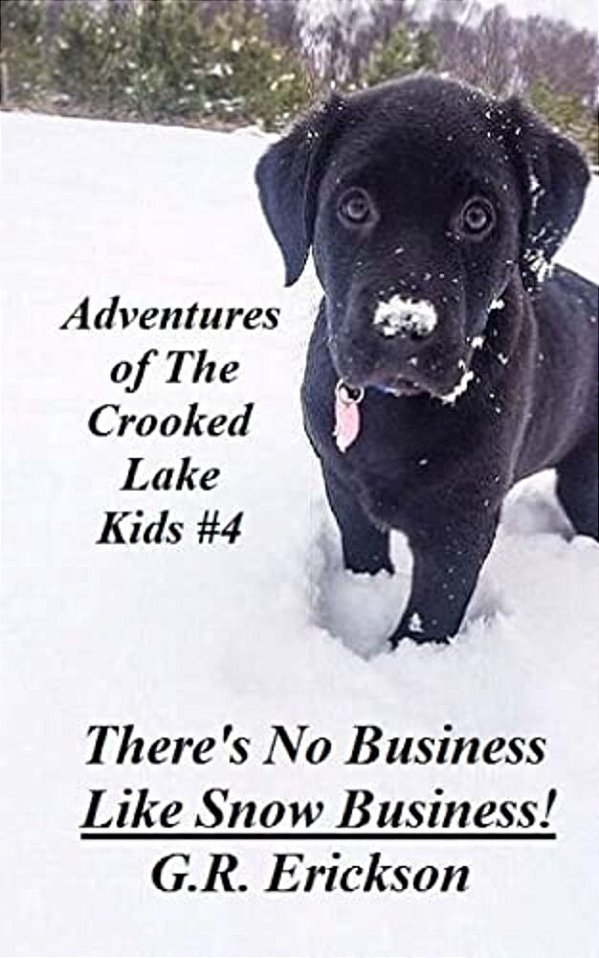 Adventures Of The Crooked Lake Kids #4 - There's No Business Like Snow Business!-..