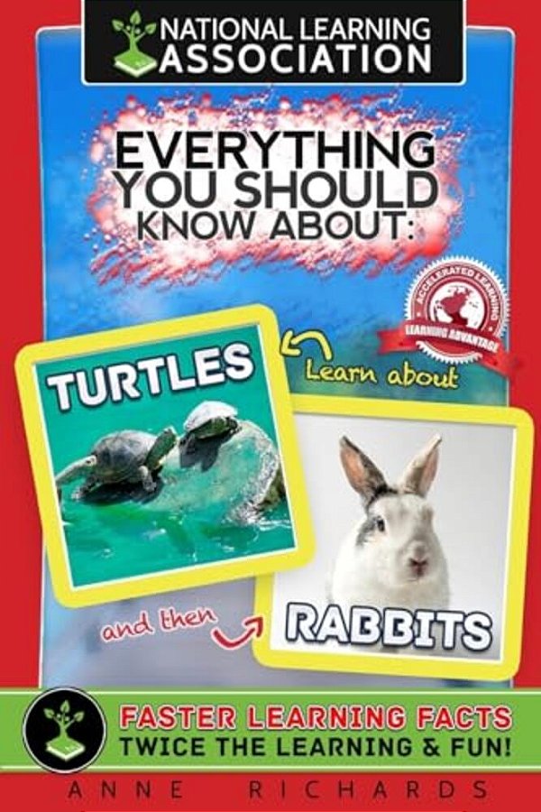 Everything You Should Know About: Turtles And Rabbits-..
