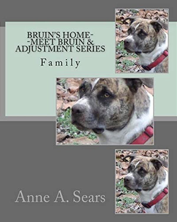 Bruin's Home--meet Bruin And Adjustment Series: Family-..