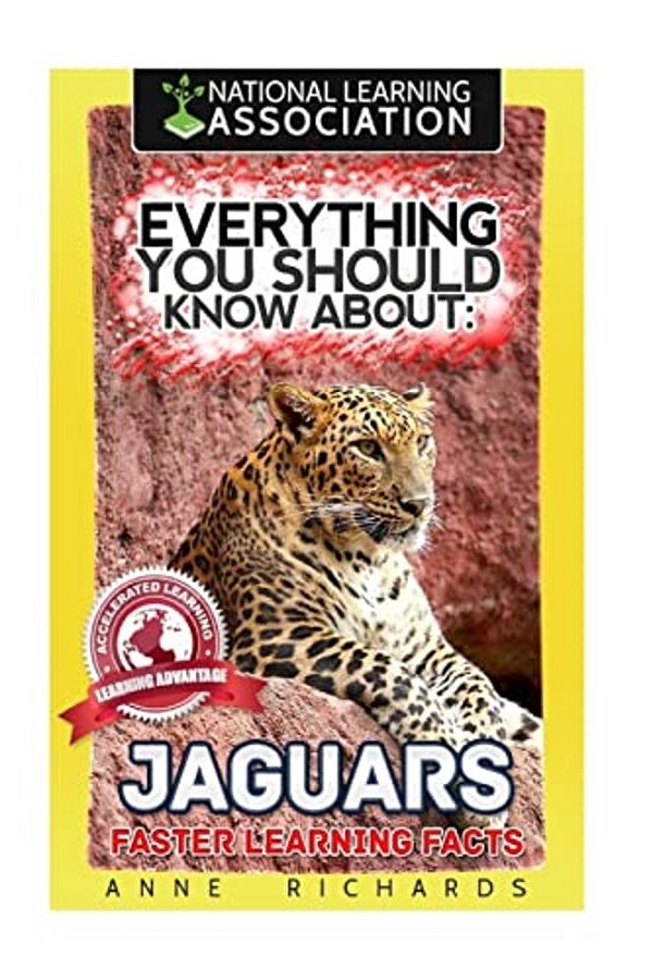 Everything You Should Know About: Jaguars Faster Learning Facts-..