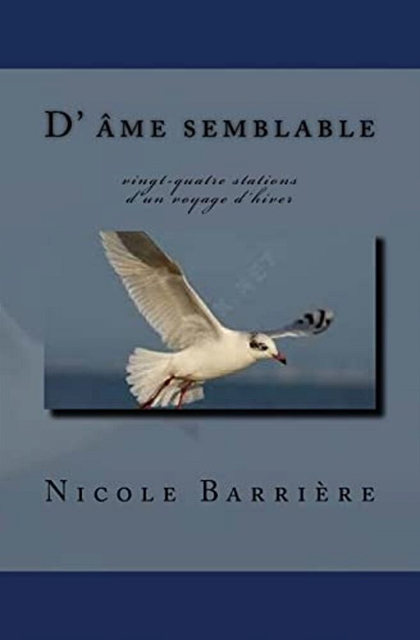 Une Âme Semblable: Vingt-Quatre Stations D'Un Voyage D'Hiver-..