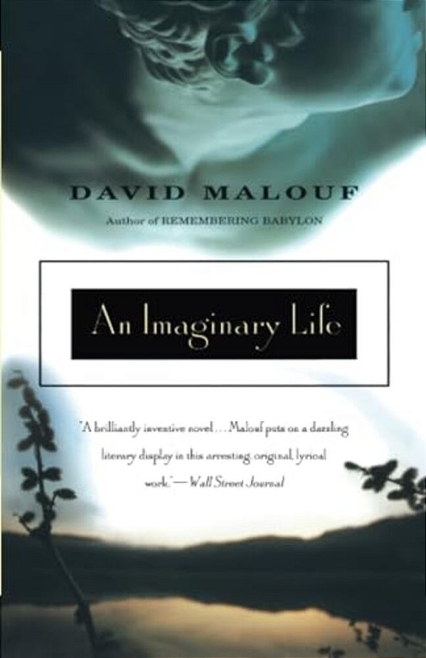 An Imaginary Life-..
