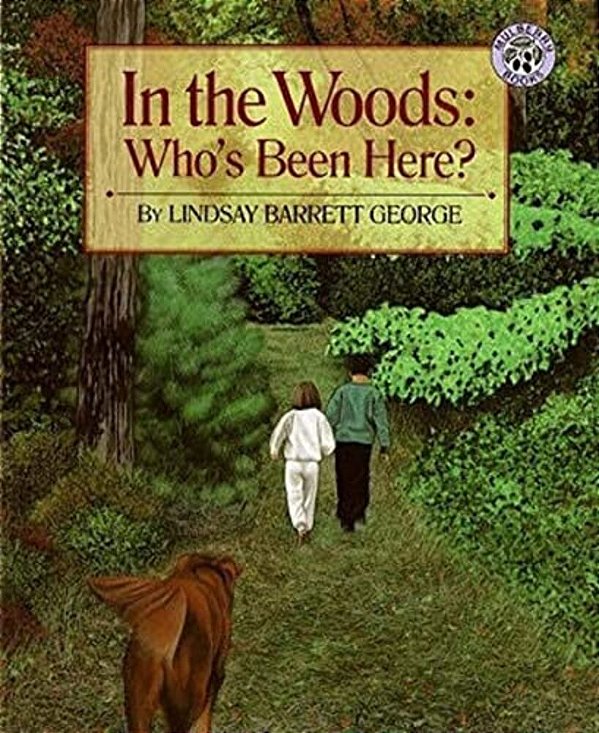 In The Woods: Who's Been Here?-..