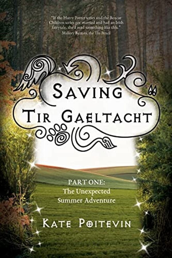 Saving Tir Gaeltacht: The Unexpected Summer Adventure-..