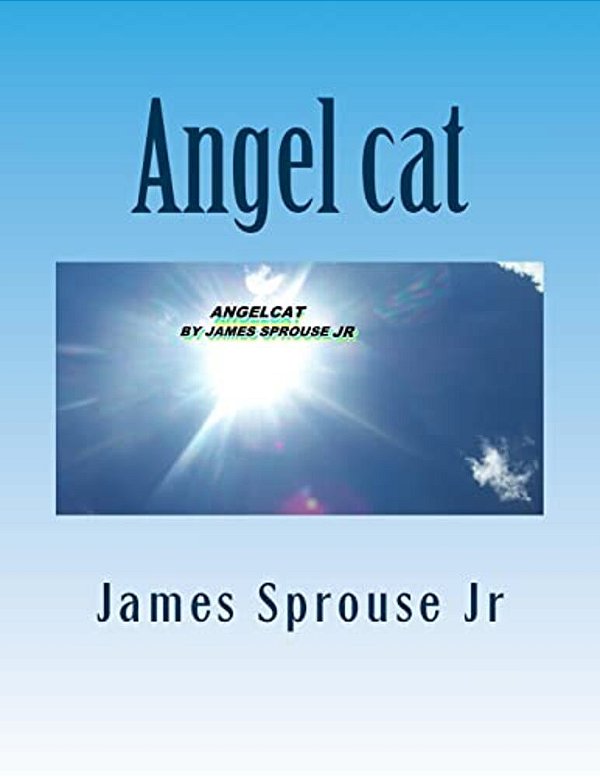 Angel Cat: Angelcat Book Of Beginning-..