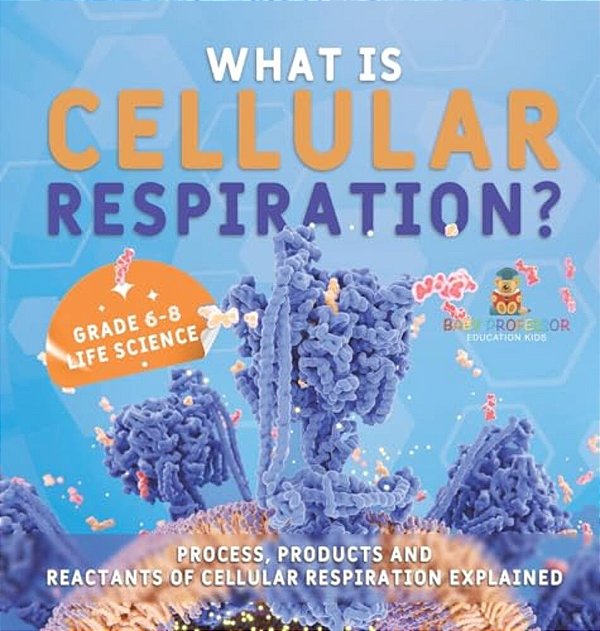 What Is Cellular Respiration? Process, Products And Reactants Of Cellular Respiration Explained Grade 6-8 Life Science-..