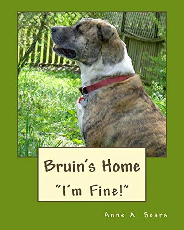 Bruin's Home (Book 3): Adjustments-..