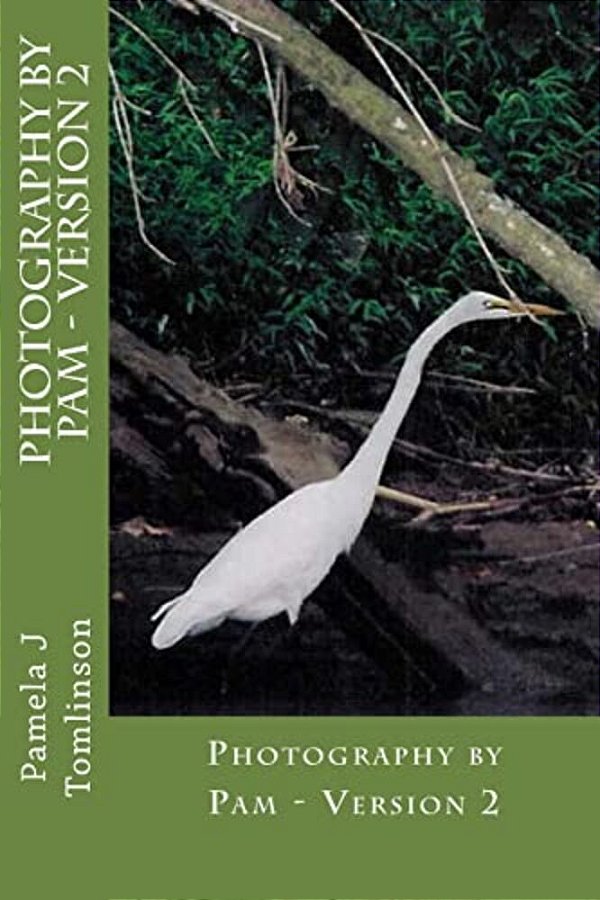 Photography By Pam - Version 2-..