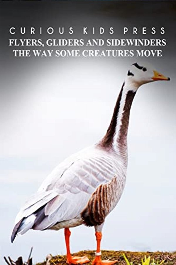 Flyers, Gliders And Sidewinders The Way Some Creatures Move - Curious Kids Press: Kids Book About Animals And Wildlife, Children's Books 4-6-..