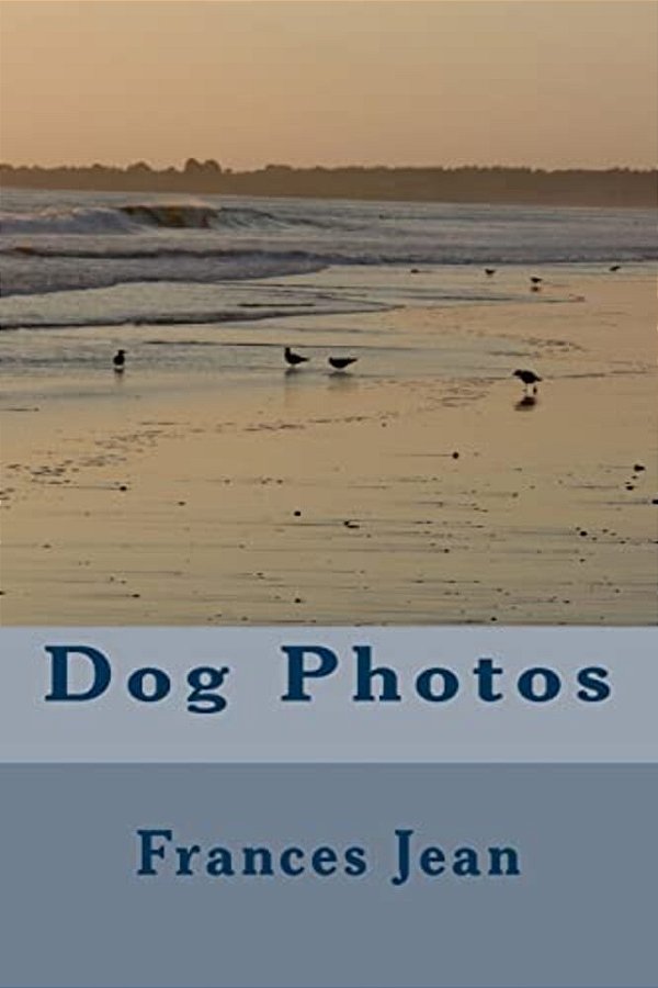 Dog Photos-..