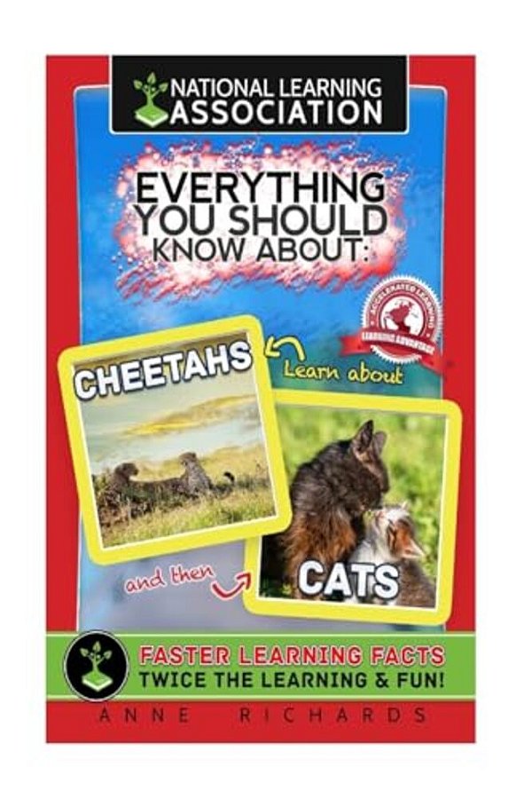 Everything You Should Know About: Cheetahs And Cats-..