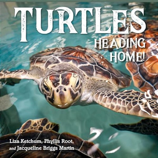 Turtles Heading Home!-..