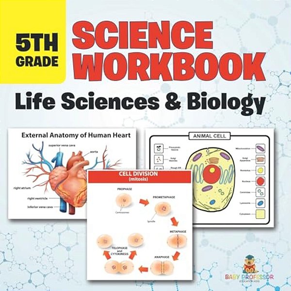 5Th Grade Science Workbook: Life Sciences & Biology-..