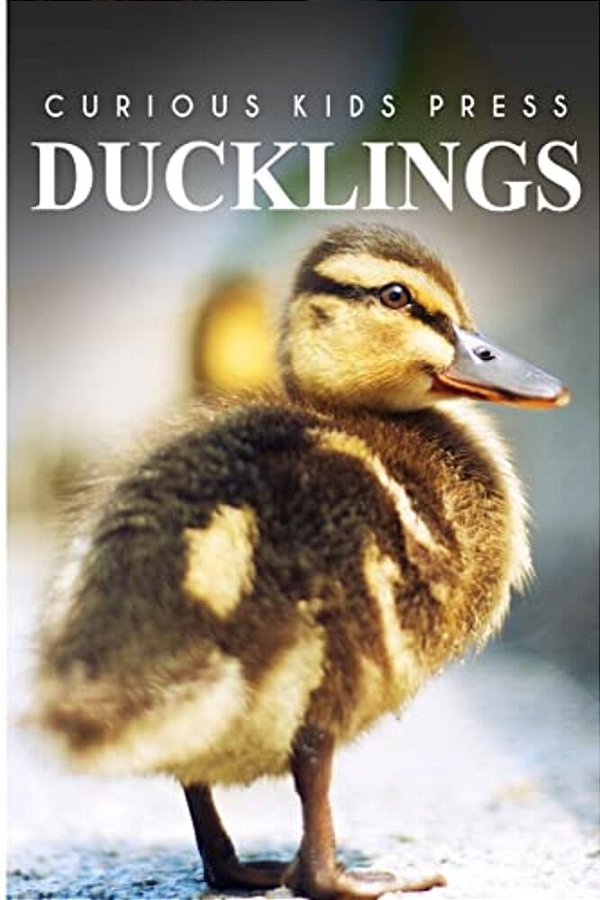 Ducklings - Curious Kids Press: Kids Book About Animals And Wildlife, Children's Books 4-6-..