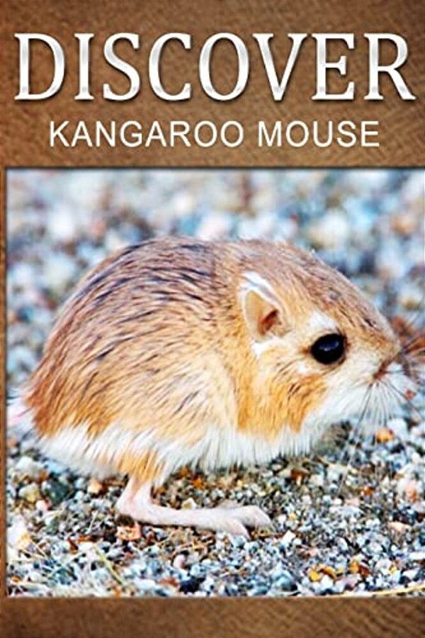Kangaroo Mouse - Discover: Early Reader's Wildlife Photography Book-..