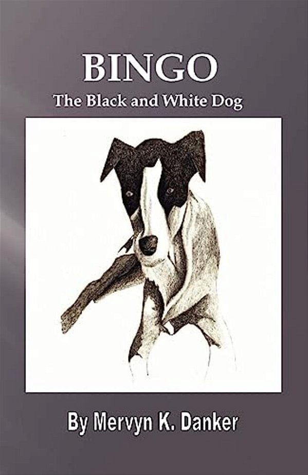 Bingo: The Black And White Dog-..
