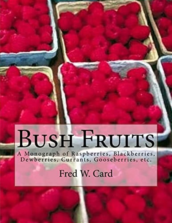 Bush Fruits: A Monograph Of Raspberries, Blackberries, Dewberries, Currants, Gooseberries, Etc. -..