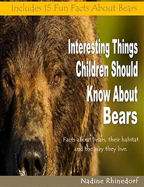 Interesting Things Children Should Know About Bears-..