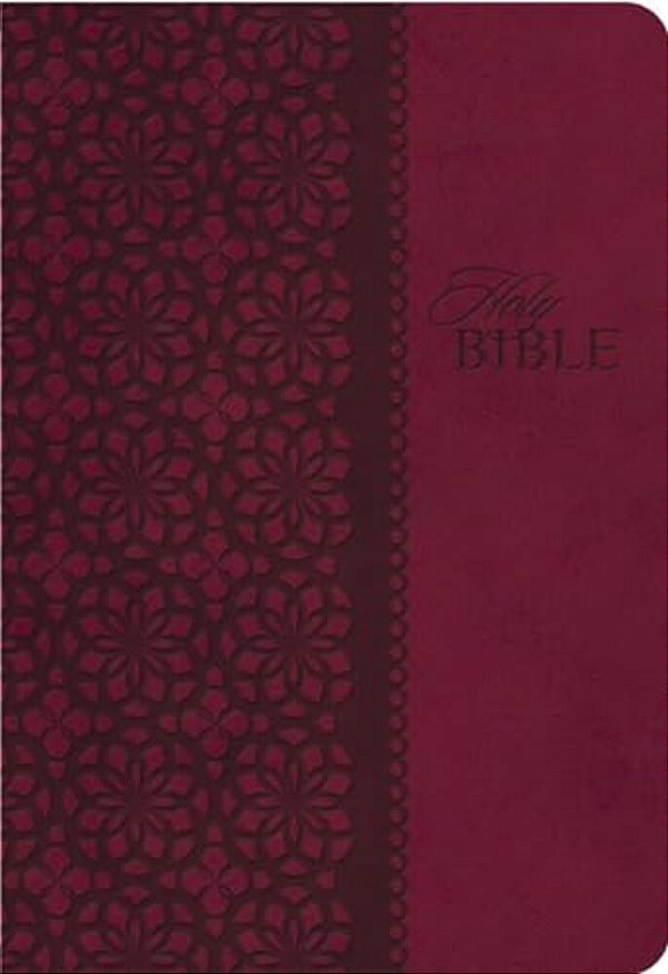 Study Bible-Kjv-..