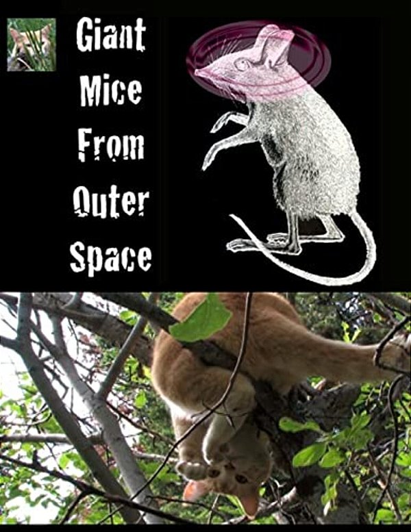 Giant Mice From Outer Space: (The Adventures Of Finny The City Cat)-..