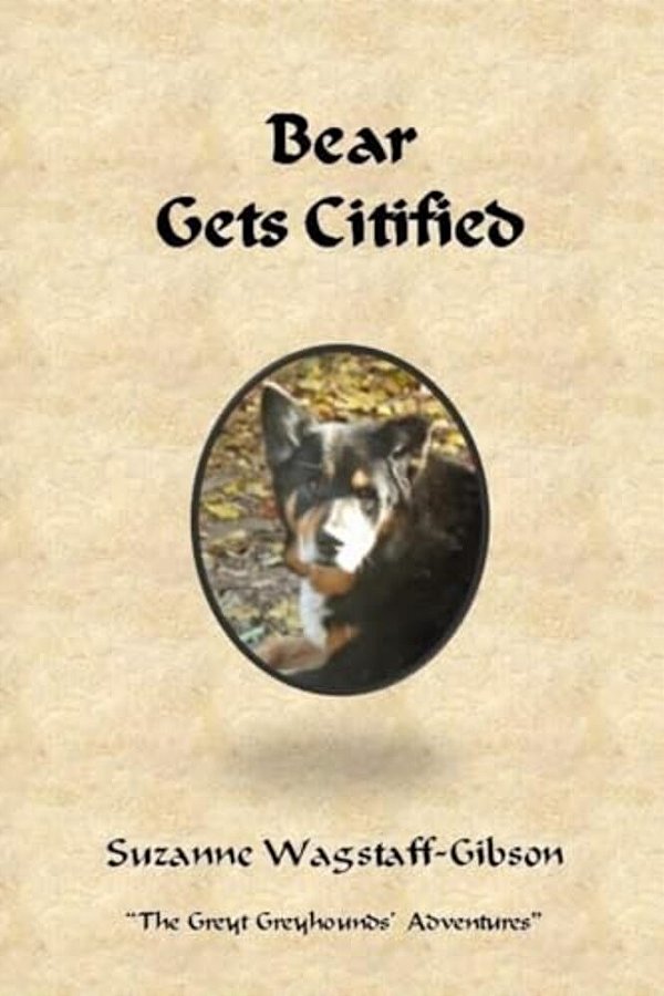 Bear Gets Citified-..