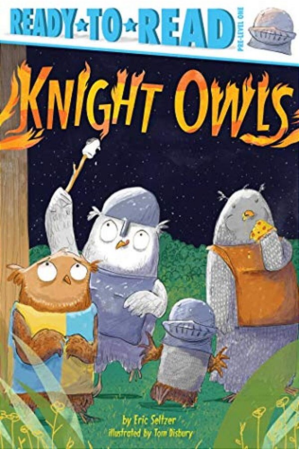 Knight Owls: Ready-To-read Pre-Level 1-..