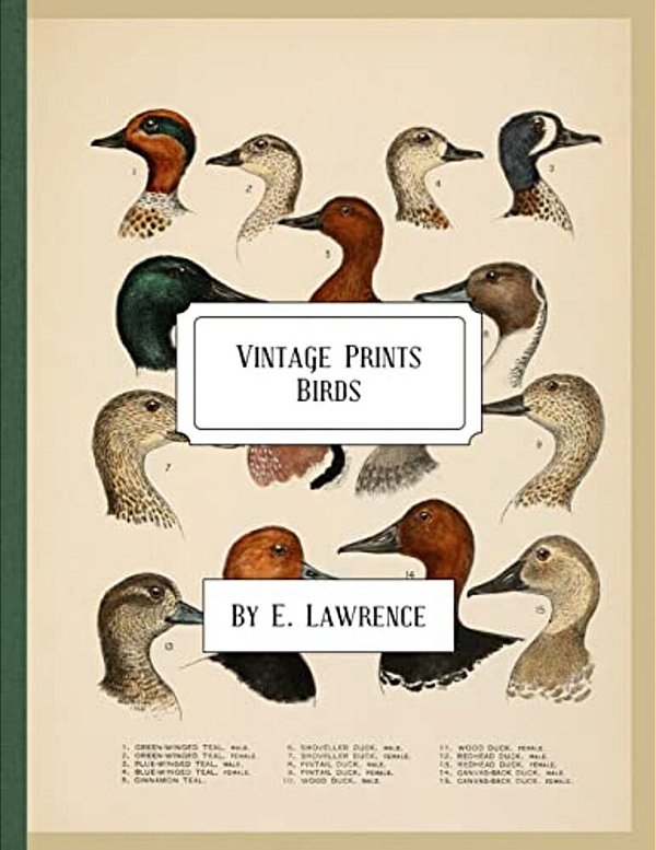 Vintage Prints: Birds-..