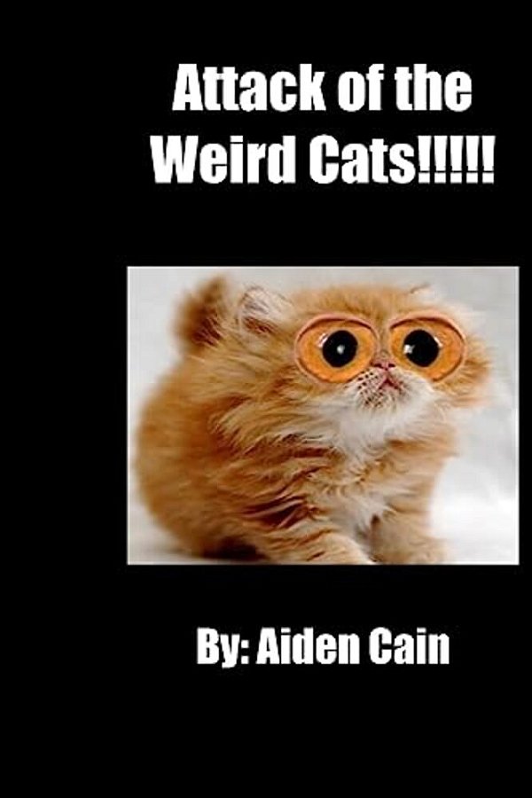 Attack Of The Weird Cats-..