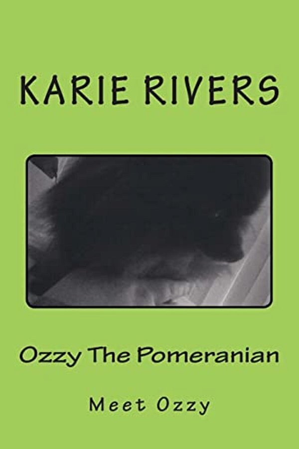 Ozzy The Pomeranian-..
