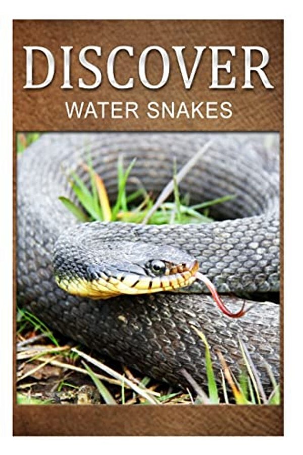 Water Snake - Discover: Early Reader's Wildlife Photography Book-..